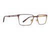 Picture of Rip Curl Eyeglasses RIP CURL-RC 2097