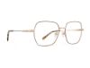 Picture of Rip Curl Eyeglasses RIP CURL-RC 2098