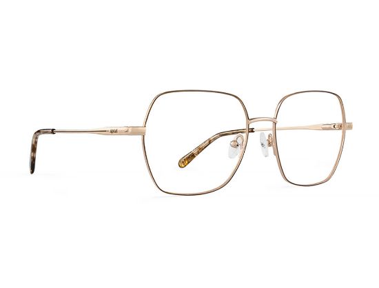 Picture of Rip Curl Eyeglasses RIP CURL-RC 2098