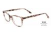 Picture of Pepe Jeans Eyeglasses PJ7449