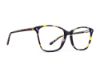 Picture of Rip Curl Eyeglasses RIP CURL-RC 2099