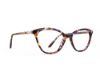 Picture of Rip Curl Eyeglasses RIP CURL-RC 2101