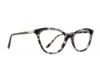 Picture of Rip Curl Eyeglasses RIP CURL-RC 2101