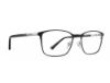 Picture of Rip Curl Eyeglasses RIP CURL-RC 2102
