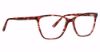 Picture of Xoxo Eyeglasses Evergreen