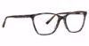 Picture of Xoxo Eyeglasses Evergreen