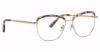 Picture of Xoxo Eyeglasses Laredo