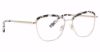 Picture of Xoxo Eyeglasses Laredo
