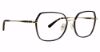 Picture of Xoxo Eyeglasses Napier
