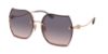 Picture of Coach Sunglasses HC7146BD