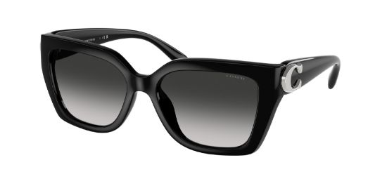 Picture of Coach Sunglasses HC8408F