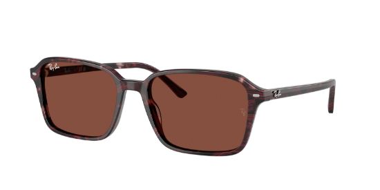 Picture of Ray Ban Sunglasses RB2231