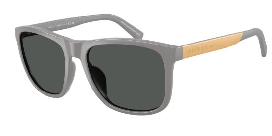 Picture of Armani Exchange Sunglasses AX4049SF