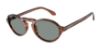 Picture of Giorgio Armani Sunglasses AR8219U