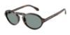 Picture of Giorgio Armani Sunglasses AR8219U