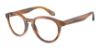 Picture of Giorgio Armani Eyeglasses AR7248