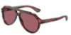 Picture of Dolce & Gabbana Sunglasses DG4452