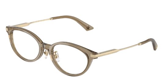 Picture of Jimmy Choo Eyeglasses JC3029D
