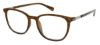 Picture of Izod Eyeglasses 2119