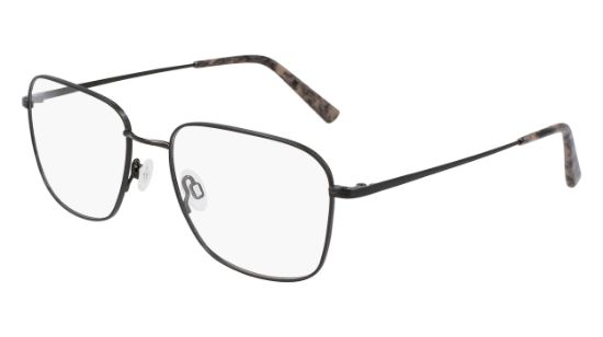 Picture of Flexon Eyeglasses H6075