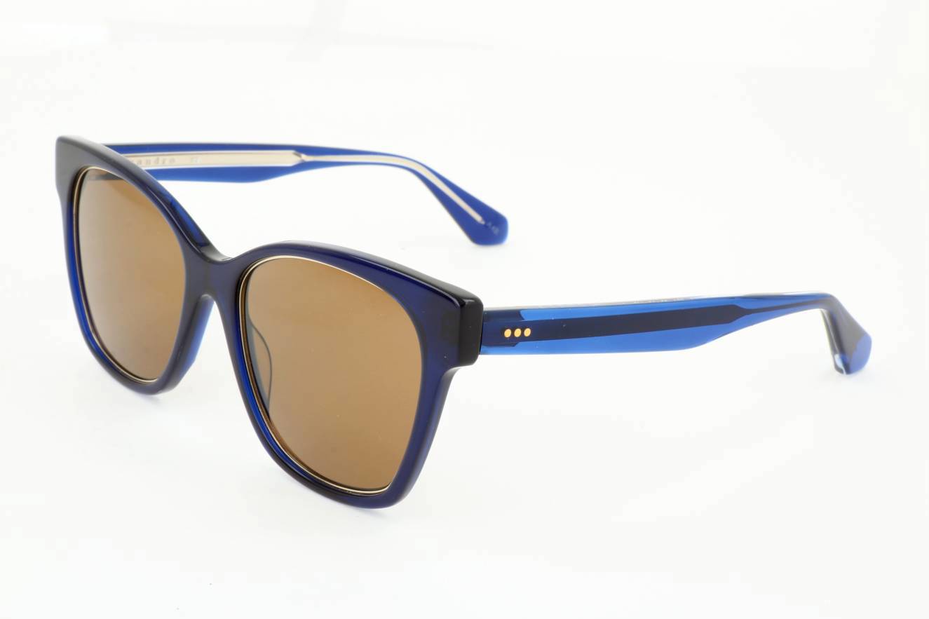 Picture of Sandro Sunglasses SD6004