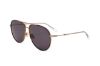 Picture of Sandro Sunglasses SD8014