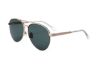 Picture of Sandro Sunglasses SD8017