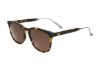 Picture of Sandro Sunglasses SDS1016