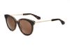 Picture of Sandro Sunglasses SDS2000