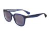 Picture of Sandro Sunglasses SDS2008F