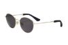 Picture of Sandro Sunglasses SDS4001F