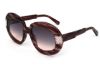 Picture of Ginevra Ariel Sunglasses CULLINAN I