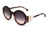 Picture of Ginevra Ariel Sunglasses SANCY