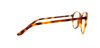 Picture of Ralph Lauren Eyeglasses RL6079