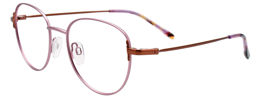 Picture of Easyclip Eyeglasses EC553