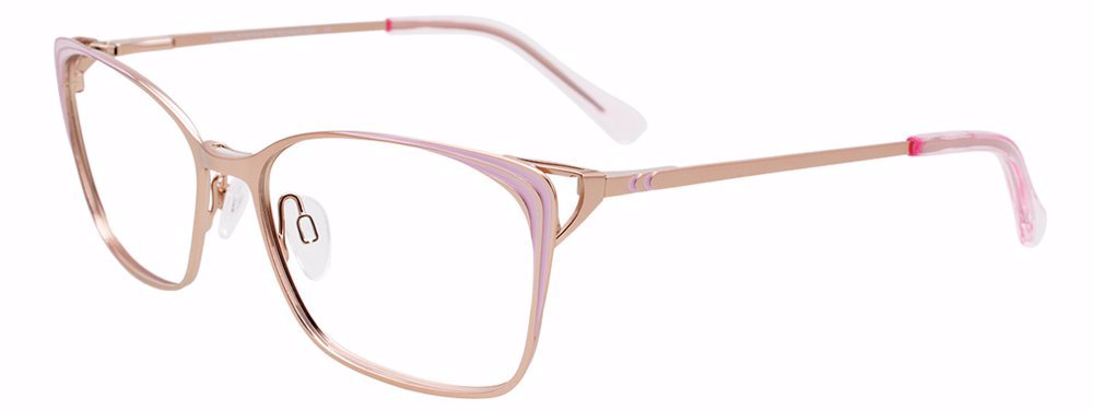 Picture of Easyclip Eyeglasses EC545