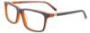 Picture of Easyclip Eyeglasses EC516