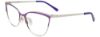 Picture of Easyclip Eyeglasses EC515
