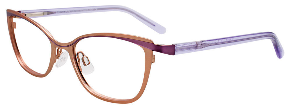 Picture of Easyclip Eyeglasses EC509
