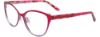 Picture of Easyclip Eyeglasses EC498