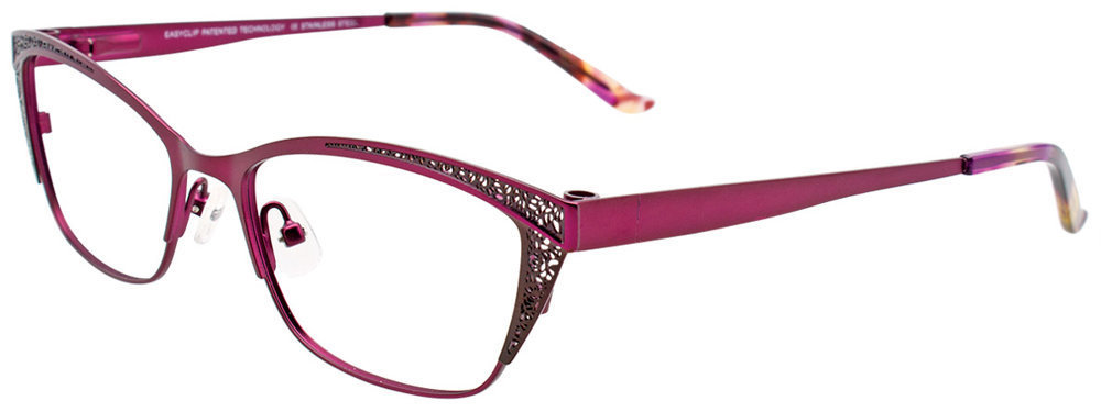 Picture of Easyclip Eyeglasses EC458