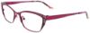 Picture of Easyclip Eyeglasses EC458