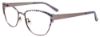 Picture of Easyclip Eyeglasses EC482