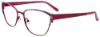 Picture of Easyclip Eyeglasses EC482