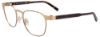 Picture of Easyclip Eyeglasses EC420