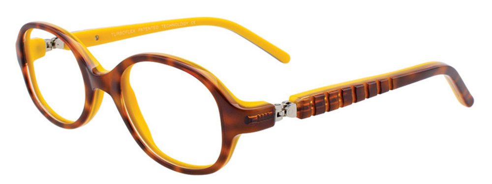 Picture of Easyclip Eyeglasses EC431