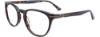 Picture of Takumi Eyeglasses TK1132