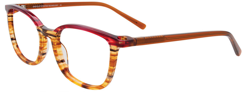 Picture of Easyclip Eyeglasses EC503
