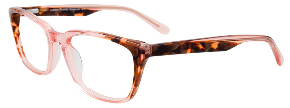 Picture of Easyclip Eyeglasses EC483