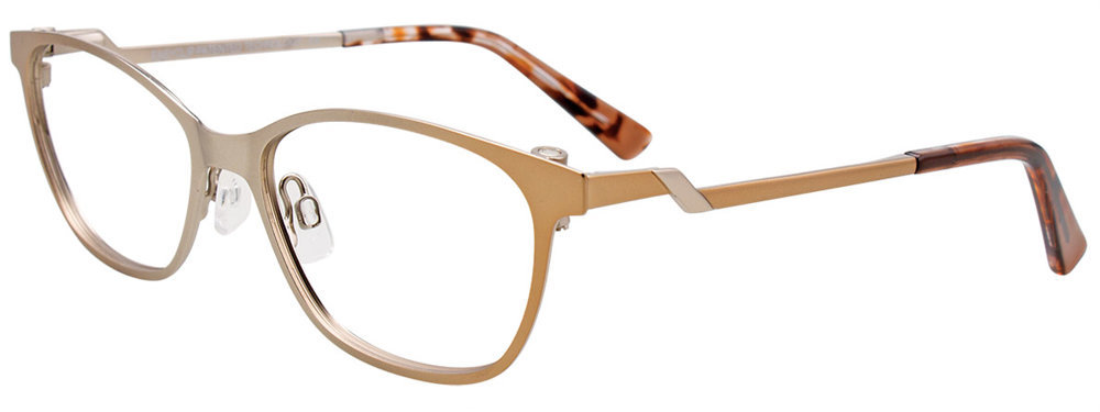 Picture of Easyclip Eyeglasses EC478